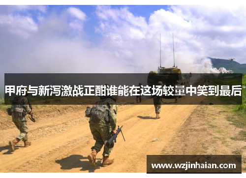 甲府与新泻激战正酣谁能在这场较量中笑到最后