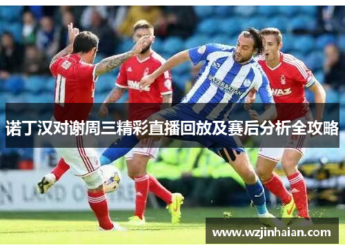 诺丁汉对谢周三精彩直播回放及赛后分析全攻略