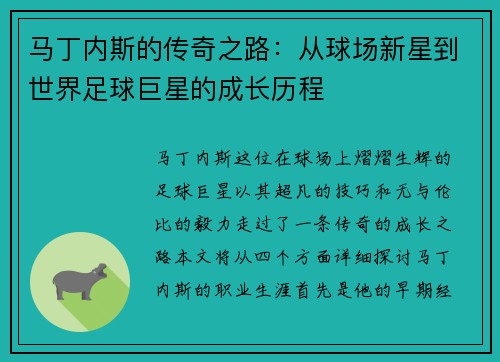 马丁内斯的传奇之路：从球场新星到世界足球巨星的成长历程